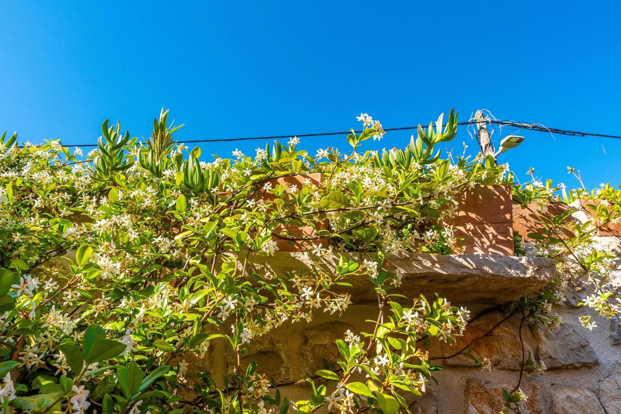 Villa Style Stone Lux Solis